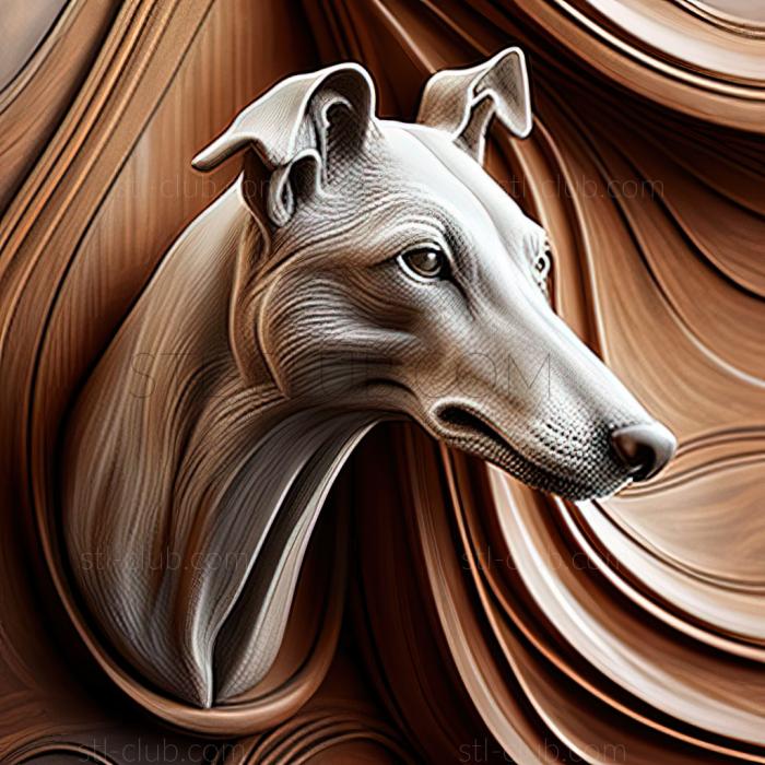 st Greyhound dog